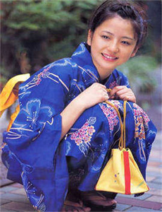 吸血鬼骑士