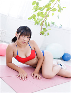 范海辛